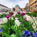 Pécs - belváros tavasszal fesztivalok.info